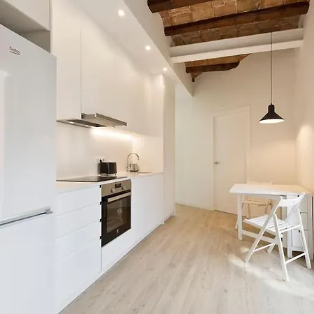 Modern And Bright Well Located In Gracia Barcelona